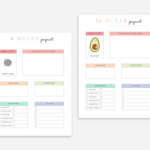 Puede incluir: Planificador de embarazo imprimible con secciones para el tama&ntilde;o del beb&eacute;, pensamientos y sentimientos, antojos, aversiones, s&iacute;ntomas y listas de tareas. El planificador incluye ilustraciones de una semilla de amapola y un aguacate.