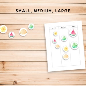 May include: A printable worksheet with the words "SMALL, MEDIUM, LARGE" at the top. There are three columns labeled "SMALL", "MEDIUM", and "LARGE".  Each column has three circles with different images inside: a yellow flower, a watermelon slice, and a green leaf.