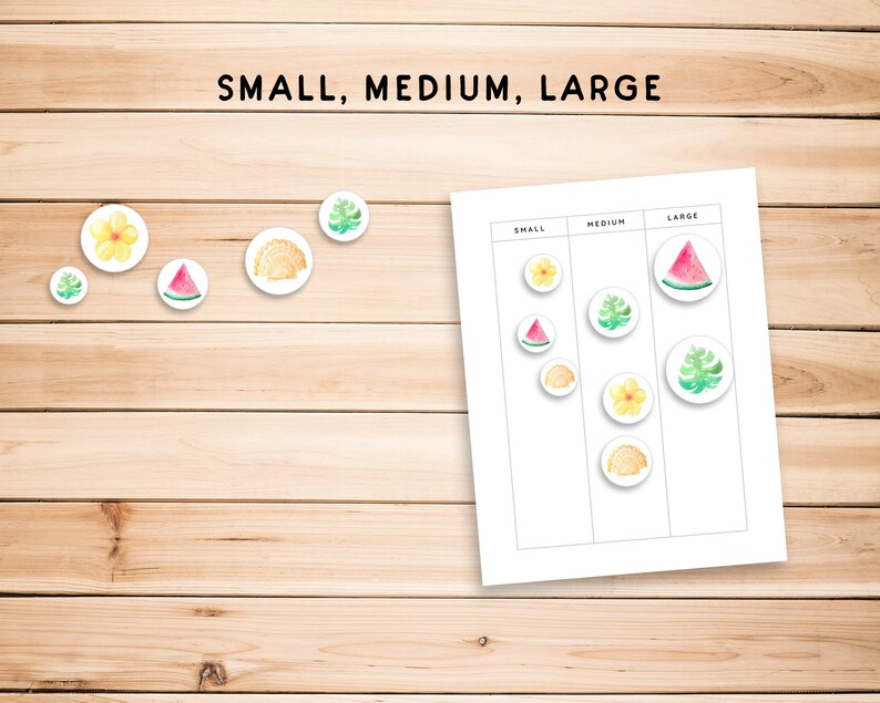 May include: A printable worksheet with the words "SMALL, MEDIUM, LARGE" at the top. There are three columns labeled "SMALL", "MEDIUM", and "LARGE".  Each column has three circles with different images inside: a yellow flower, a watermelon slice, and a green leaf.