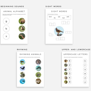 60 Montessori Worksheets Ages 3-6 | Preschool, Pre-K and Kindergarten Homeschool image 5
