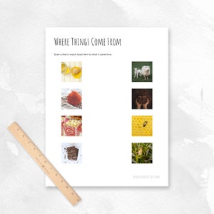 May include: A printable worksheet with the title "Where Things Come From". The worksheet has images of honey, yarn, popcorn, chocolate, a lamb, coffee beans, honeycomb, and corn. The instructions are to draw a line to match each item to what it came from.