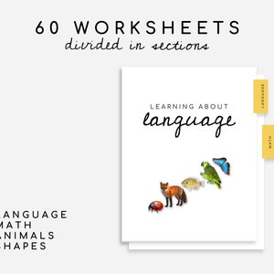 60 Montessori Worksheets Ages 3-6 | Preschool, Pre-K and Kindergarten Homeschool image 2