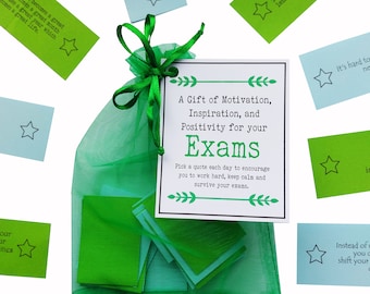 May include: A green mesh bag filled with small green and blue cards. The bag has a white tag attached to it that says "A Gift of Motivation, Inspiration, and Positivity for your Exams. Pick a quote each day to encourage you to work hard, keep calm and survive your exams."