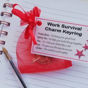 Work Survival Charm Keyring - Work Secret Santa gift, secret santa gifts, work colleague gifts, gift for secret santa, new job gifts