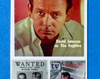The Fugitive TV Show Magnet Set: David Janssen, Classic TV - Main Image