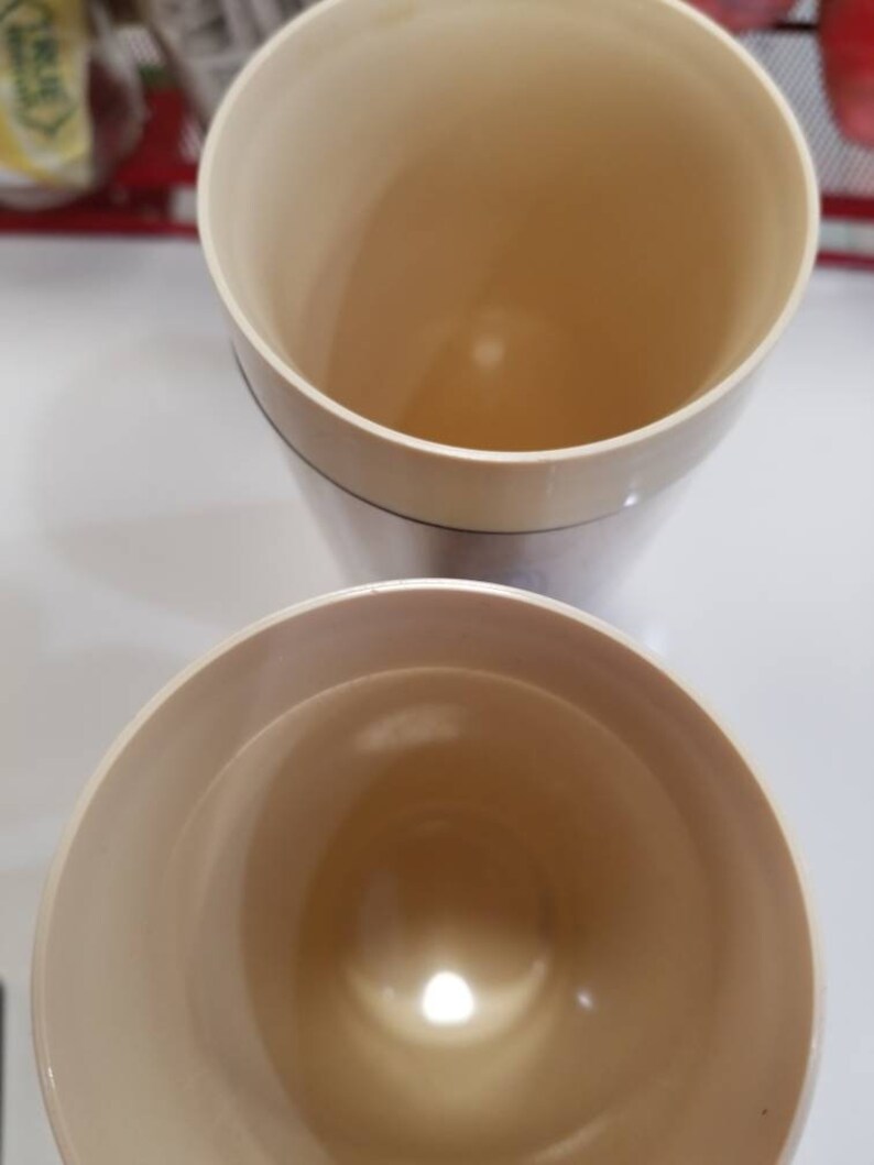 Thermo-Serve 6tall plastic glasses