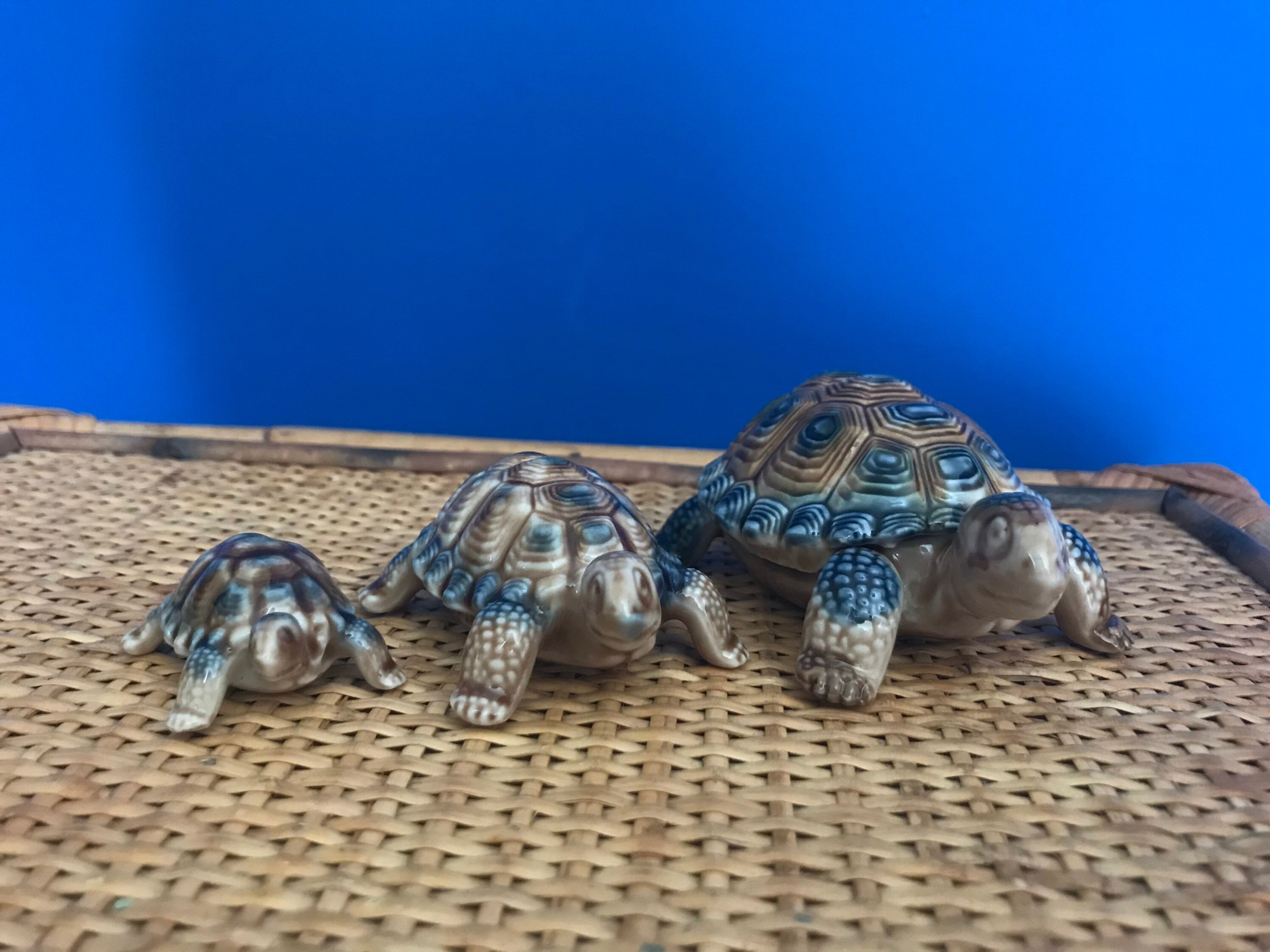 Set of three gradient wade whimsie tortoises / turtles Etsy