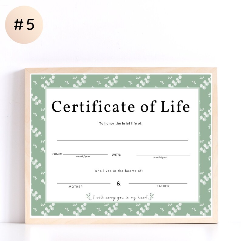 Certificate of life For pregnancy loss Printable, miscarriage gift, miscarriage wall art, miscarriage printable image 6