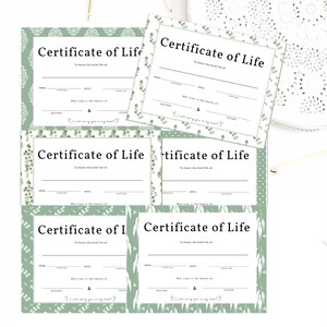 Certificate of life For pregnancy loss Printable, miscarriage gift, miscarriage wall art, miscarriage printable image 8