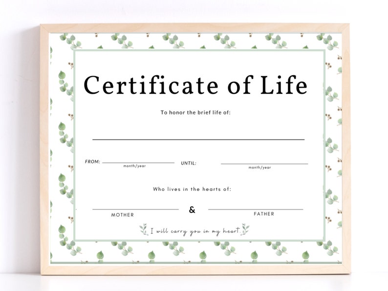 Certificate of life For pregnancy loss Printable, miscarriage gift, miscarriage wall art, miscarriage printable image 1