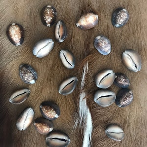May include: A collection of cowrie shells on a brown fur background. The shells are various shades of brown and white.