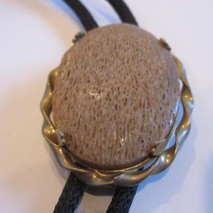 May include: A bolo tie featuring a light brown, porous stone set in a gold-toned metal frame. The stone is oval-shaped and has a textured surface. The tie has a black braided cord.