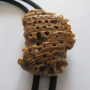 Shell Bolo Tie-Gifts for Her- Handcrafted Beige Brown Sand Beach Ocean Sea Shell Bolo Tie