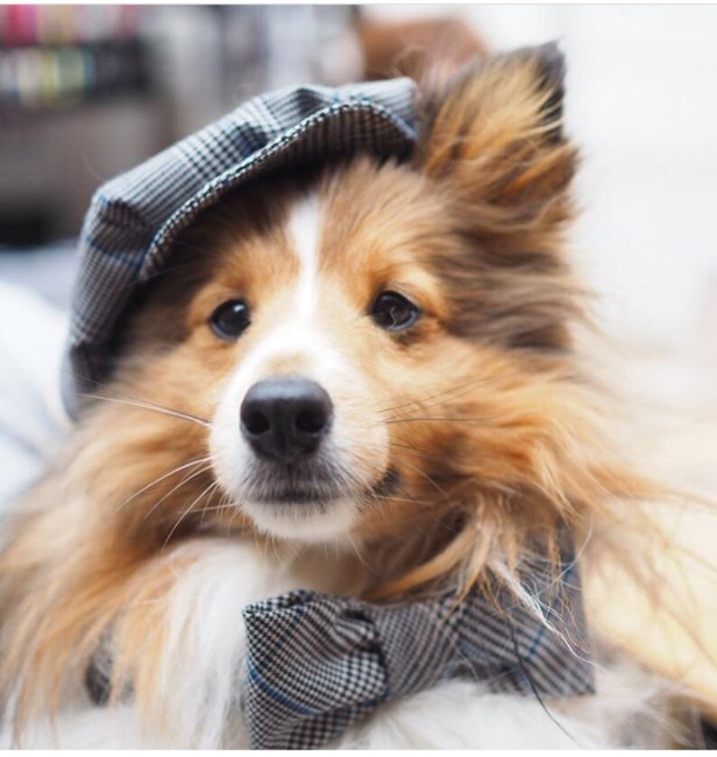 collar and bow tie set. Baker boy hat