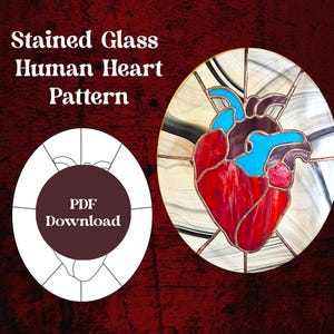 May include: Stained glass pattern of a human heart. The heart is red with blue veins and is surrounded by a white and grey background. The text "PDF Download" is in a circle on the left side of the image.