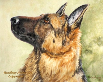 German Shepherd art print, 8 x 10, Shepherd looking devotedly at his person, "Devotion", from artist's hand drawn original, Dog lover gift