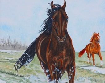 8x10 print,  Morgan Horse art print, "Spring Run-Off", horse splashing in field, from artist's hand drawn original, by Heather Anderson