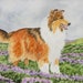 see more listings in the Collie Art section