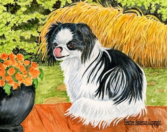 8x10 Giclee Print, Japanese Chin Dog, "Hana (Blossom)", from artist's hand drawn original, Japanese Chin Art, dog art print