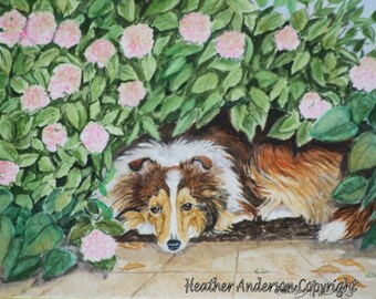 8x10 Giclee Print, sable Sheltie, "A Little Me Time", Hand Drawn Art, sable Shetland Sheepdog among pink flowers