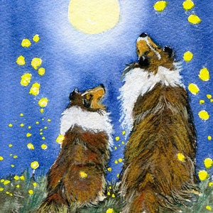 Sheltie with Collie Art Print "Night of the Fireflies" from artist's original  by Heather Anderson animal artist  5" x 7"