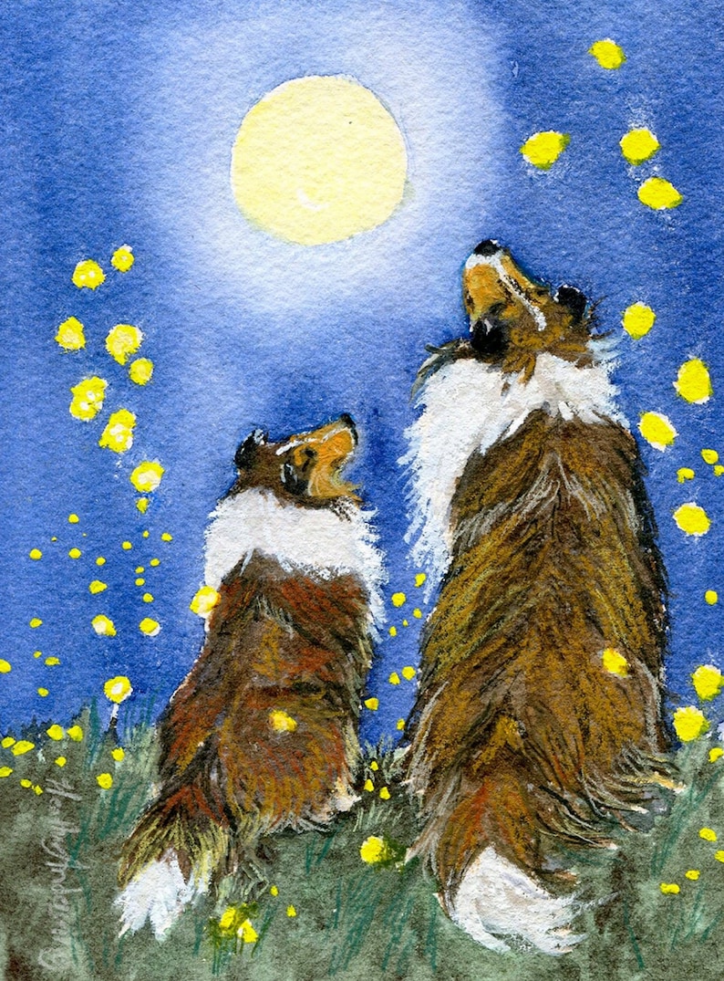 Sheltie with Collie Art Print Night of the Fireflies from artist's original by Heather Anderson animal artist 5 x 7 image 1