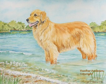 8" x 10" Golden Retriever giclee print,  "Golden Lake" from artist's hand drawn original artwork, Heather Anderson