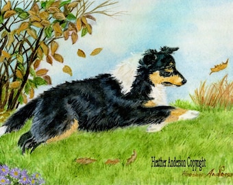 8x10 Giclee Print, Tricolor Sheltie Pup chasing a blowing leaf, "Windchaser" from artist's hand drawn original, Dog Lovers Gift, Dog Art