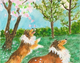 Sheltie with Collie Art Print "Maytime" from artist's original  by Heather Anderson animal artist  5.5" x 7"