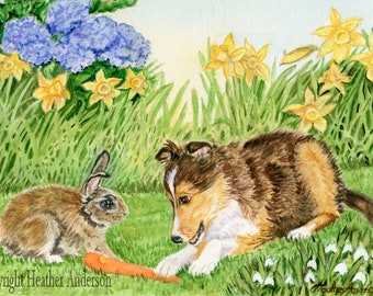 4 Sheltie Pup and Bunny Greeting Cards, FREE SHIPPING, "A Gift to Share"  5 1/2" x 4 1/4"  Heather Anderson canine artist