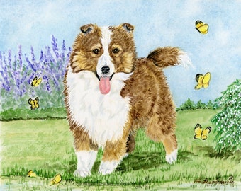 4 Sheltie Notecards, with envelopes, 5 1/2" x 4 1/4",  FREE SHIPPING, sable Sheltie pup, "Happy Boy",  Blank, Handmade, Doglover gift