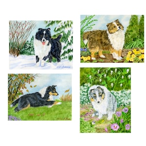 4 cartes de correspondance Sheltie, avec enveloppes, 5 1/2" x 4 1/4", LIVRAISON GRATUITE, 4 chiots Sheltie différents, "Shelties Through the Seasons", cadeau Doglover.