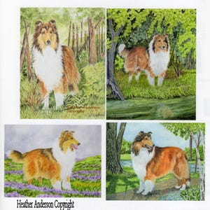 4 cartes pour notes de colley couleur zibeline, avec enveloppes, 5 1/2" x 4 1/4", LIVRAISON GRATUITE, 4 colleys différents, "Sable Collie", cadeau pour amoureux.