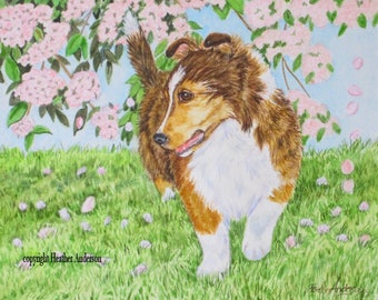 4 Sheltie Notecards, with envelopes, 5 1/2" x 4 1/4",  sable Sheltie pup, FREE SHIPPING, "Enchanted Spring",  Blank, Handmade,