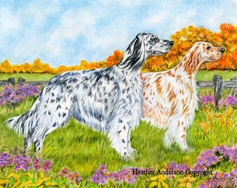 8x10 Giclee Print,  2 English Setters , from artist's hand drawn original watercolour artwork, dog art, Heather Anderson