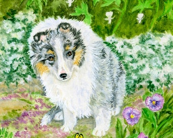 8x10 Giclee Print,  Merle Sheltie Pup, "Snow in Summer", Original Art, Dog Lovers Gift, Dog Art Print