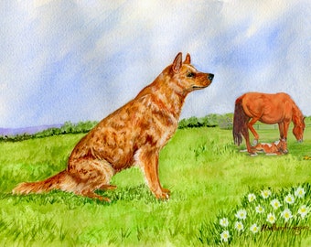 4 Red Heeler Notecards with envelopes, FREE SHIPPING, "Summer Morning"  5.5" x 4.25"  Heather Anderson canine artist