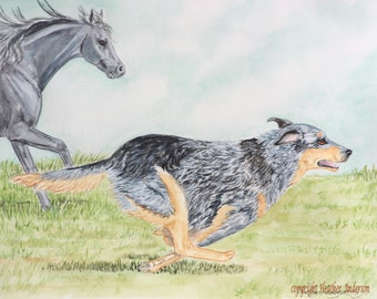 8" x 10" Australian Cattle Dog giclee print,  "Run for Fun!"   Heather Anderson, blue heeler,  agility, athletic, dog sports, herding dog