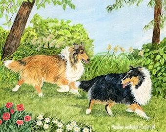 8x10  print, rough collies, "I'll Show You Around!"", free shipping, sable and tricolor collie art, dog lover art, Heather Anderson