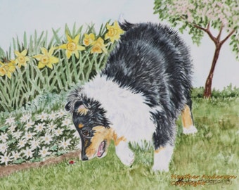 8x10 Giclee Print, Tricolor Sheltie Pup herding a ladybug, "Gotta Herd" from artist's hand drawn original, Dog Lovers Gift, Dog Art Print