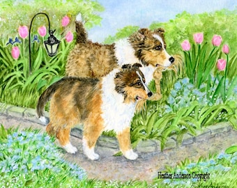 8" x 10" giclee print, 2 Shelties in the garden , "Teamwork",  from artist's hand drawn original,  by Heather Anderson