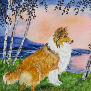 Lassie the movie's favorite dog rough collie in back yard 8x10 inch photo -  The Movie Store