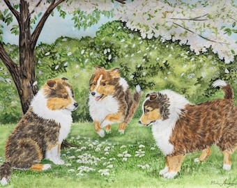 ORIGINAL SHELTIE PAINTING, Watercolor, 11"x14", 3 Sable Sheltie Pups, "Sheltie Spring" by Heather Anderson
