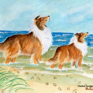 4 cartes de voeux, Sheltie with Collie, LIVRAISON GRATUITE, « Sea Breezes » 5 1/2" x 4 1/4"" Heather Anderson artiste canine