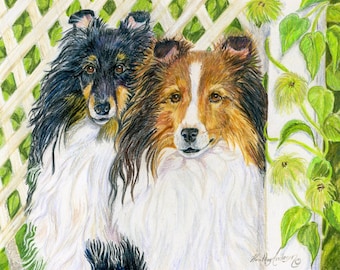 4 Sheltie Notecards, with envelopes, 5 1/2" x 4 1/4",  FREE SHIPPING, "Waiting for You" sable Sheltie and tricolor Sheltie,  Doglover gift.