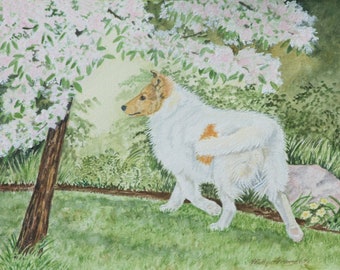 ORIGINAL COLLIE PAINTING, watercolor, 10.5"x13.5", Sable Headed White Rough Collie, "Pup on a Mission" by Heather Anderson