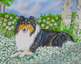 8x10 giclee print, Rough Collie, tricolour, "Daisies in the Snow", from artist's hand drawn original, Collie Art