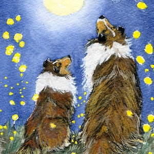 4 greeting cards, Sheltie with Collie , FREE SHIPPING, "Night of the Fireflies"  5 1/2" x 4 1/4" "  Heather Anderson canine artist