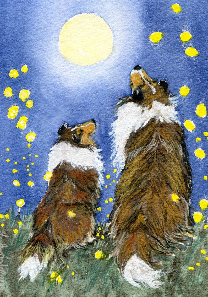 4 greeting cards, Sheltie with Collie , FREE SHIPPING, Night of the Fireflies 5 1/2 x 4 1/4 Heather Anderson canine artist image 1