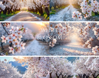 White Blossom Orchard Digital Backdrops for Composite Photography, Maternity Backdrop Overlays, Photoshop Overlays